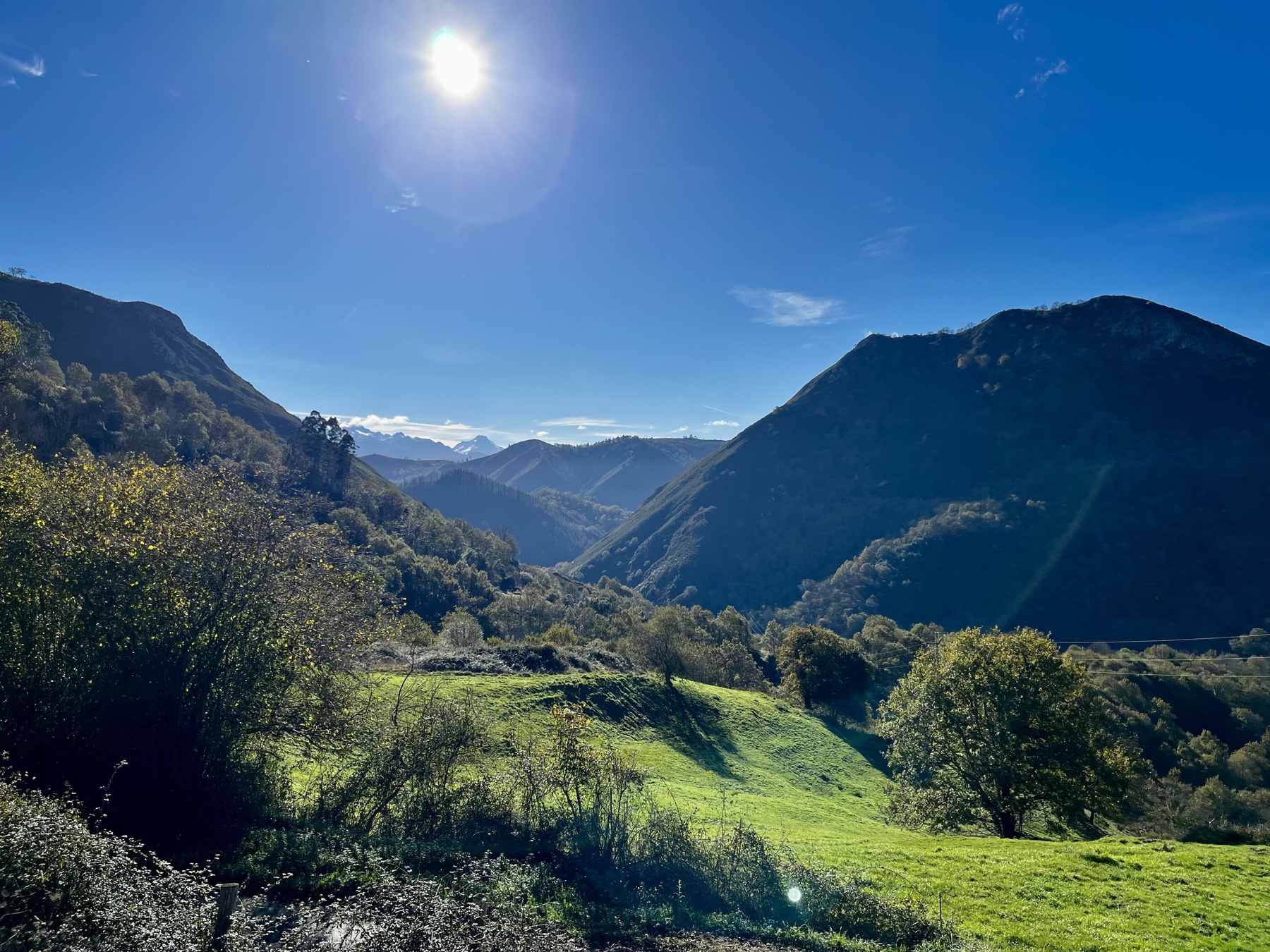 Ladera Mágica