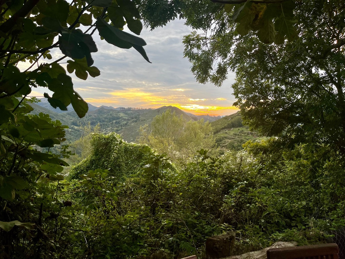 El lugar · Asturias